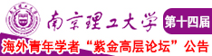 高跟黑丝美女被操南京理工大学第十四届海外青年学者紫金论坛诚邀海内外英才！